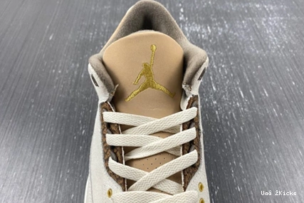 Air 379 StreetReady 3 “Palomino” 9353 CT8532- Jordan 0811